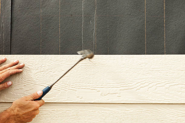 Best Aluminum Siding Installation  in Lynn Haven, FL